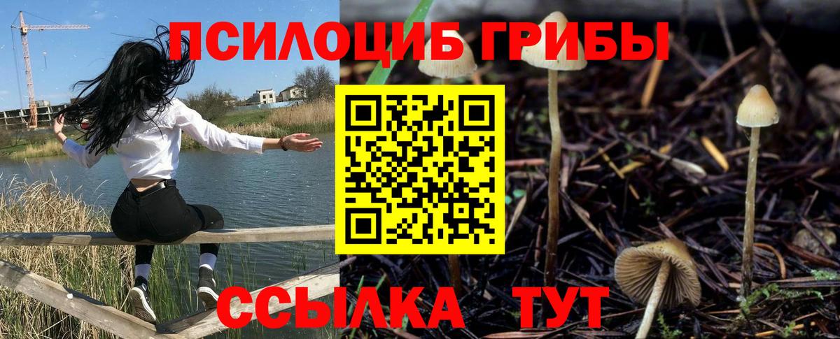 Ахтубинск  Галлюциногенные грибы мухоморы  Вход с VPN 